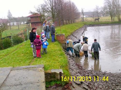 2013 - listopad - kontrolní výlov obecního rybníka